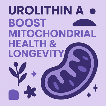 Urolithin A -Mitochondrial Health Boost