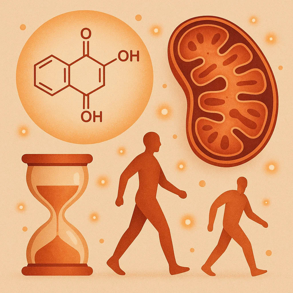 Mitochondrial Health Supplement