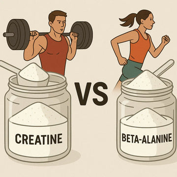 Creatine vs. Beta Alanine